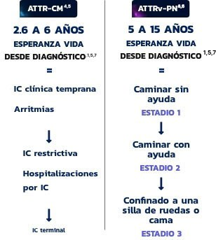 Progreso de ATTR
