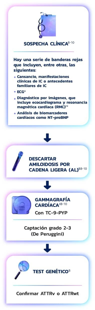 Diagnóstico de ATTR-CM