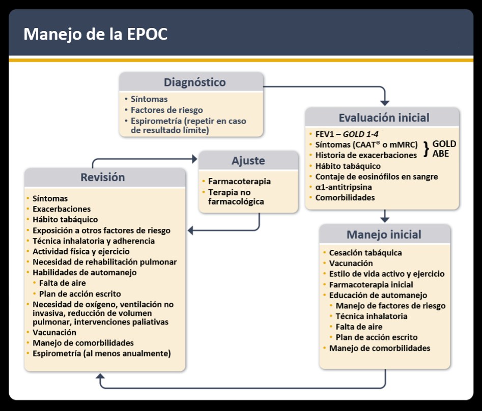 Figura EPOC Guias