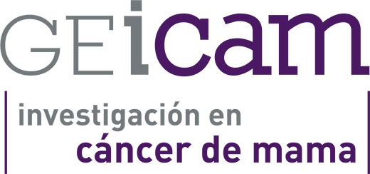 Programa de capacitación organizado por GEicam