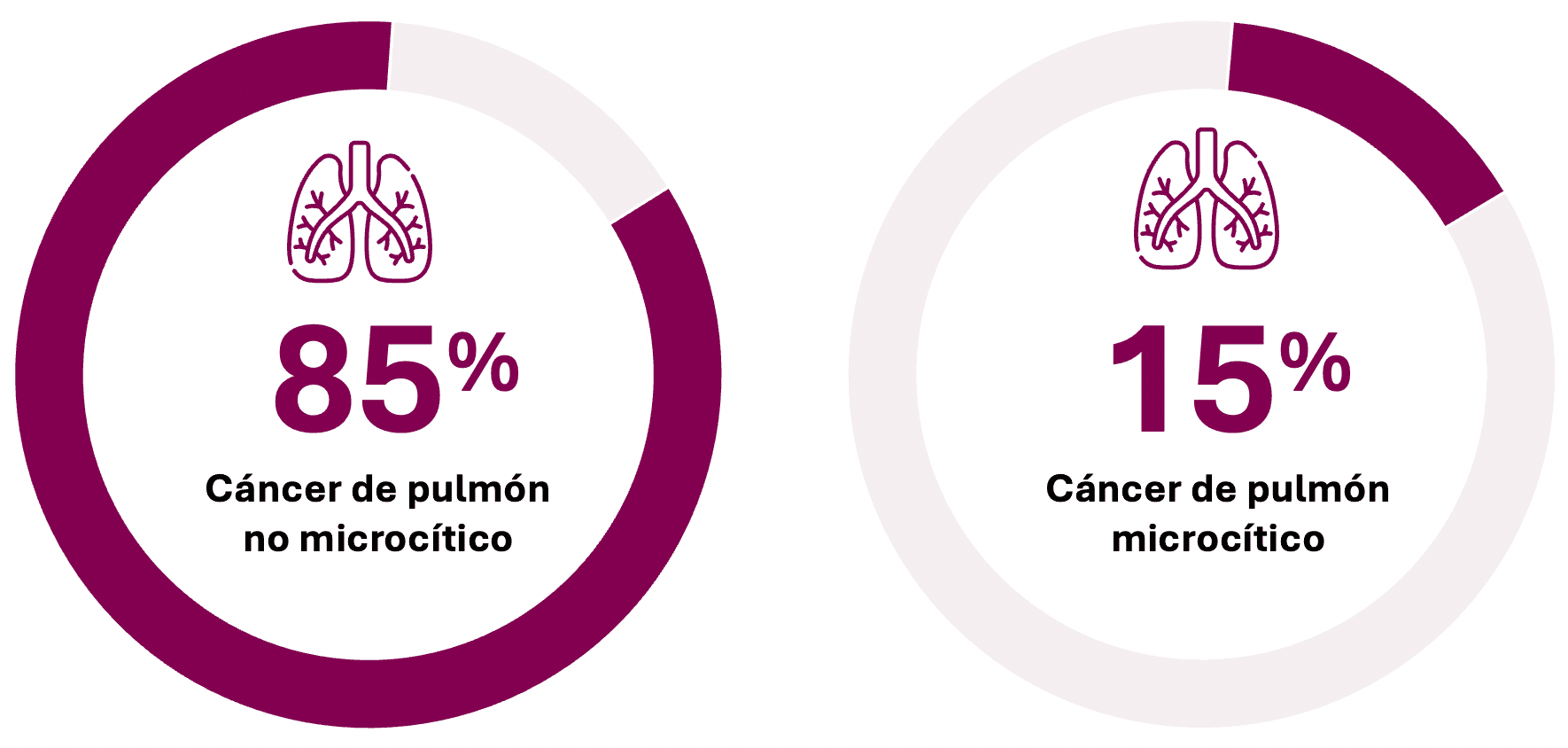 Tabla de Tipos de Cáncer y Recuento de Defunciones 