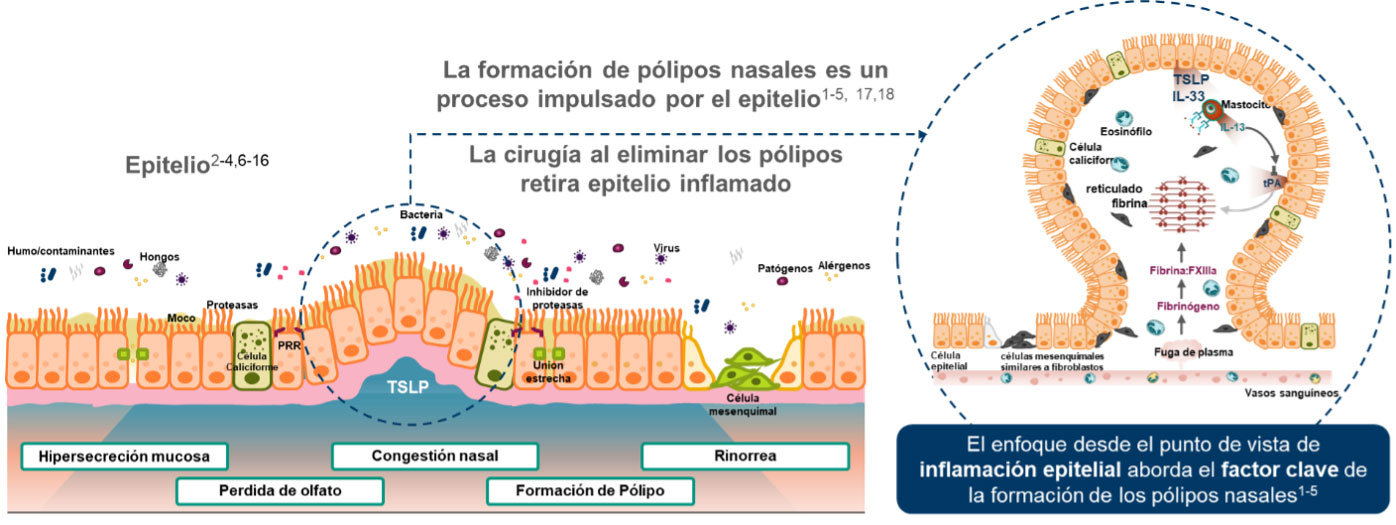 Inflamacion