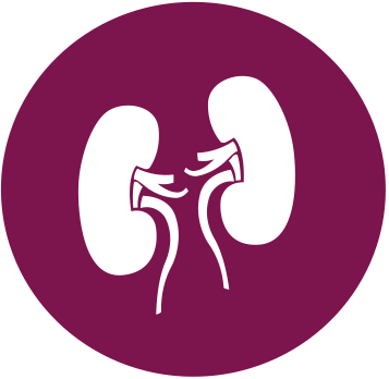 Ícono que representa la afectación renal en la granulomatosis eosinofílica con poliangitis (GEPA)