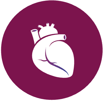 Ícono que representa la participación cardiovascular en la granulomatosis eosinofílica con poliangitis (GEPA)