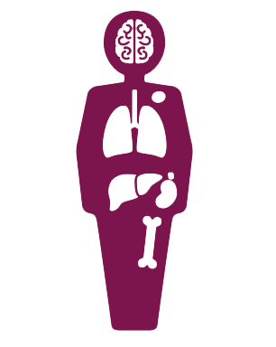 Silueta que ilustra la participación de múltiples órganos en GEPA