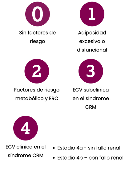 Clasificación del Síndrome CRM