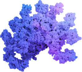 Icono de proteína TTR