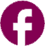 fb-icon-footer