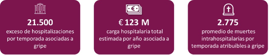 Estudio basado en el exceso de hospitalizaciones y la mortalidad hospitalaria asociados con la influenza estacional