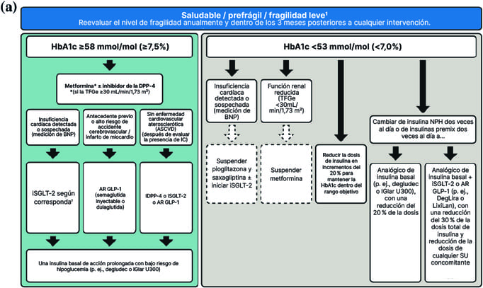 Plan T2D Mayores Fragilidad Leve