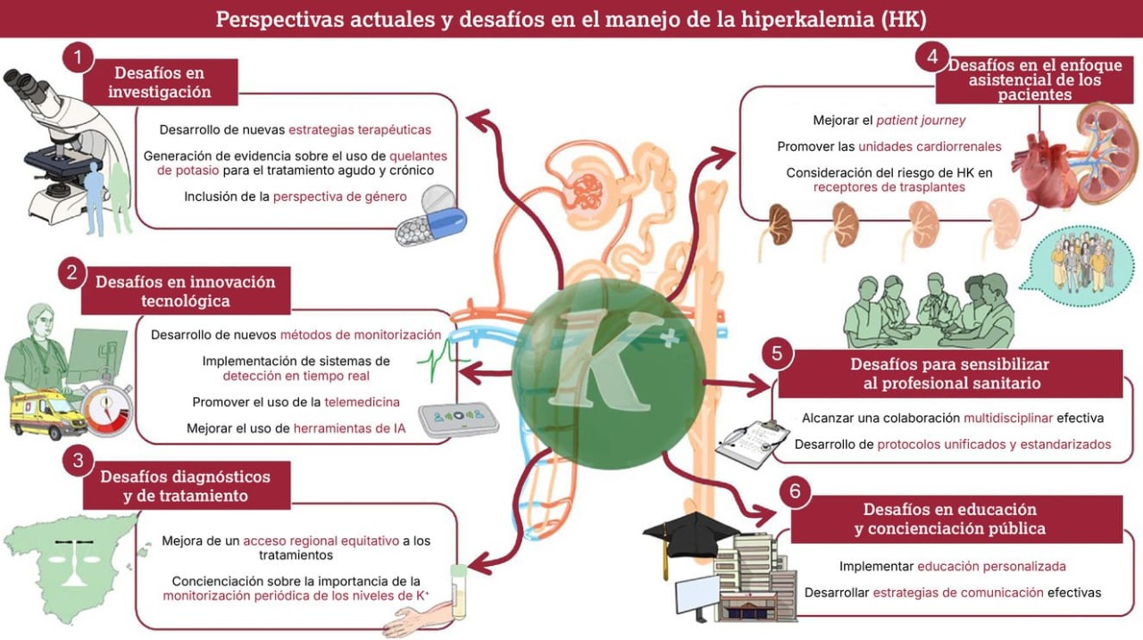 Infografía que ilustra las perspectivas y los desafíos actuales en el manejo de la hiperpotasemia, incluidas las brechas de investigación, la innovación tecnológica, el diagnóstico y las barreras al tratamiento
