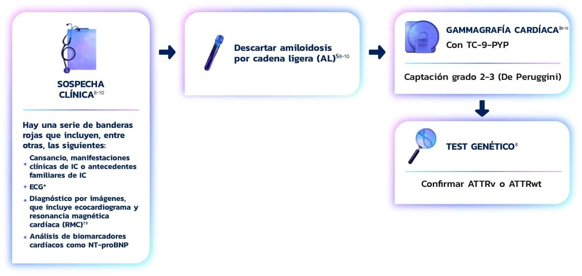 Diagnóstico de ATTR-CM
