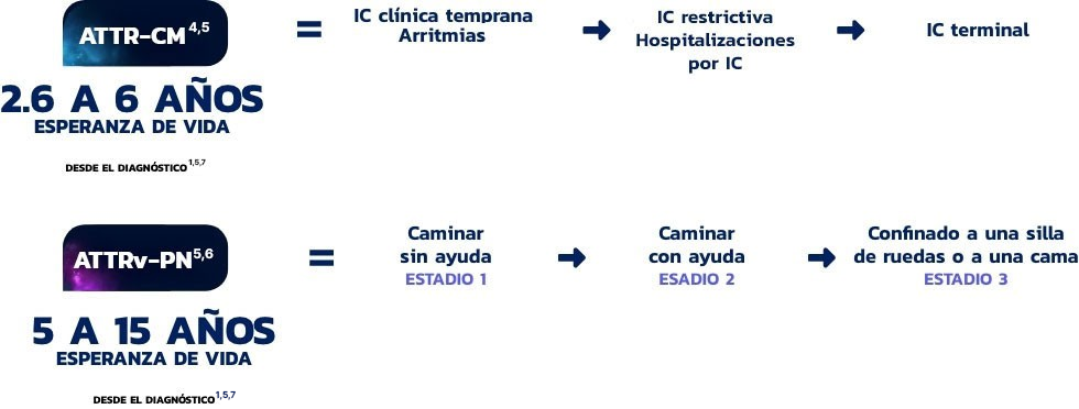 Progreso de ATTR