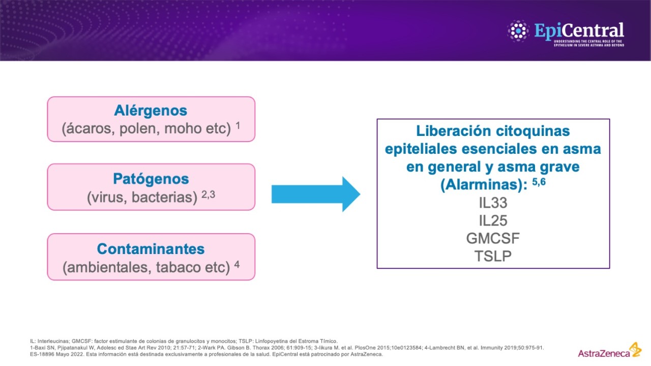 Gráfico que muestra alérgenos, patógenos y contaminantes que conducen a la liberación de las citoquinas epiteliales IL33, IL25, GMCSF y TSLP.