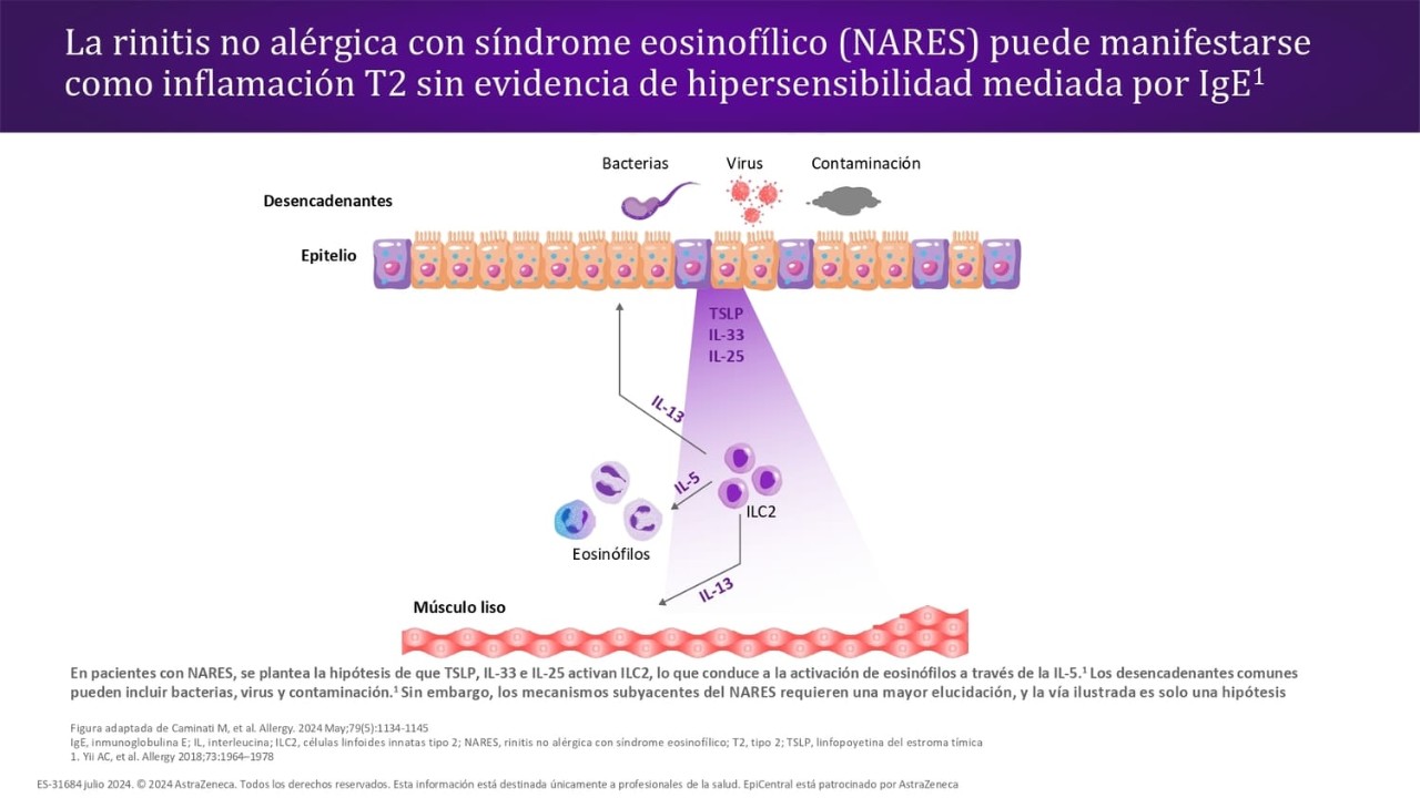 Rinitis tipos alérgicos