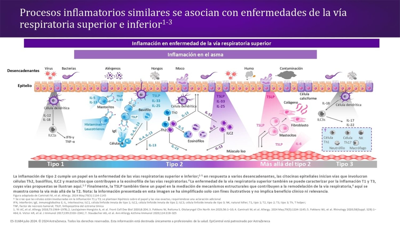 Pacientes con rinosinusitis crónica