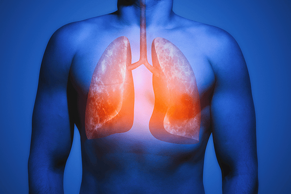  Cuerpo Humano Pulmones