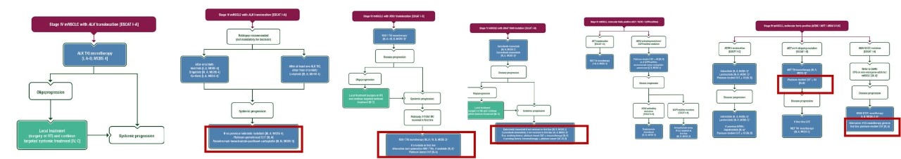Diagrama de Flujo de Directrices ESMO 