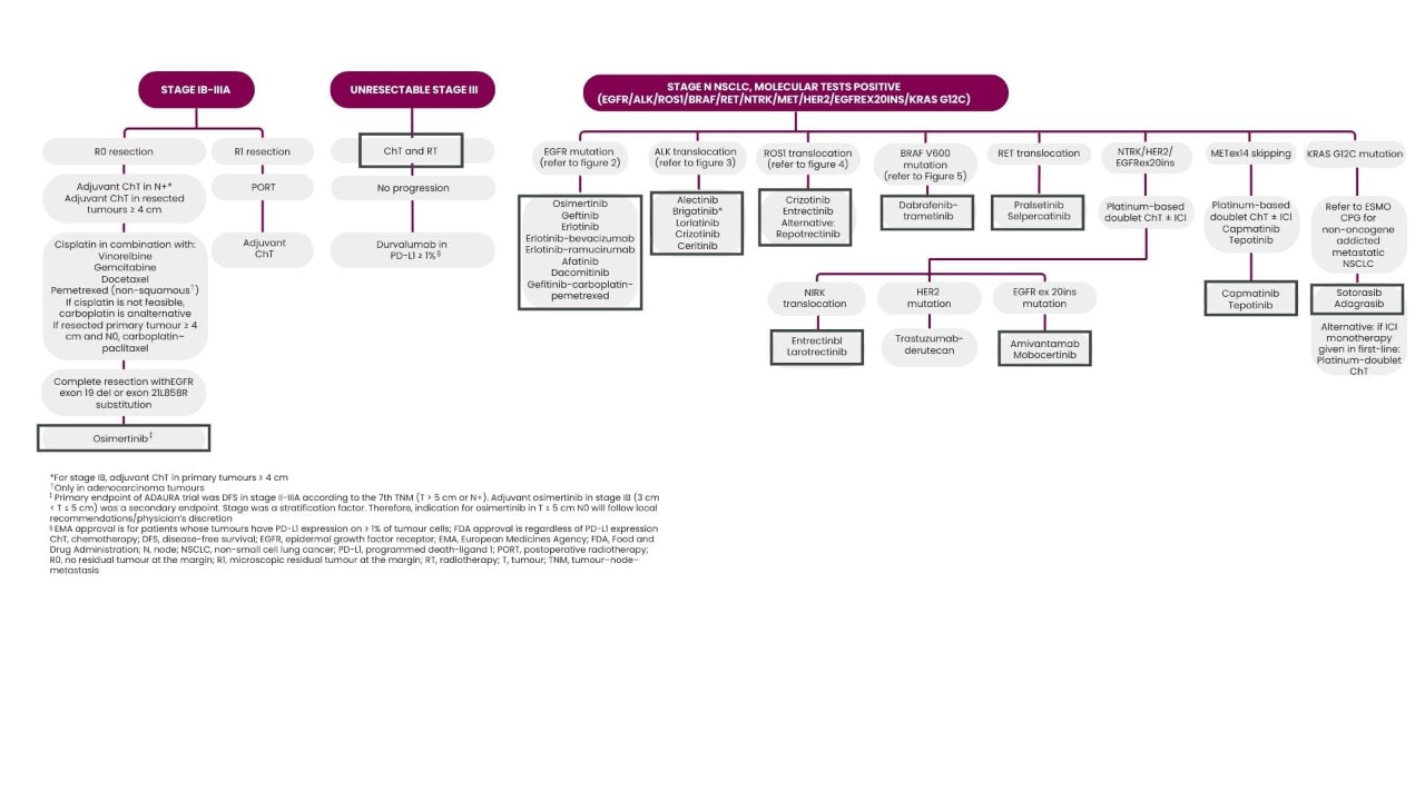 Tabla de Directrices de la ESMO para Terapias Dirigidas en CPNM 
