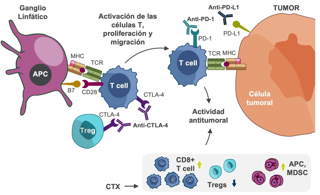 Inhibidores del Punto de Control Inmunitario 