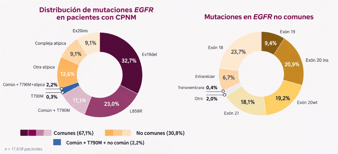 graficas