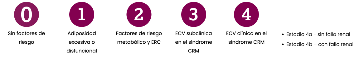Clasificación del Síndrome CRM