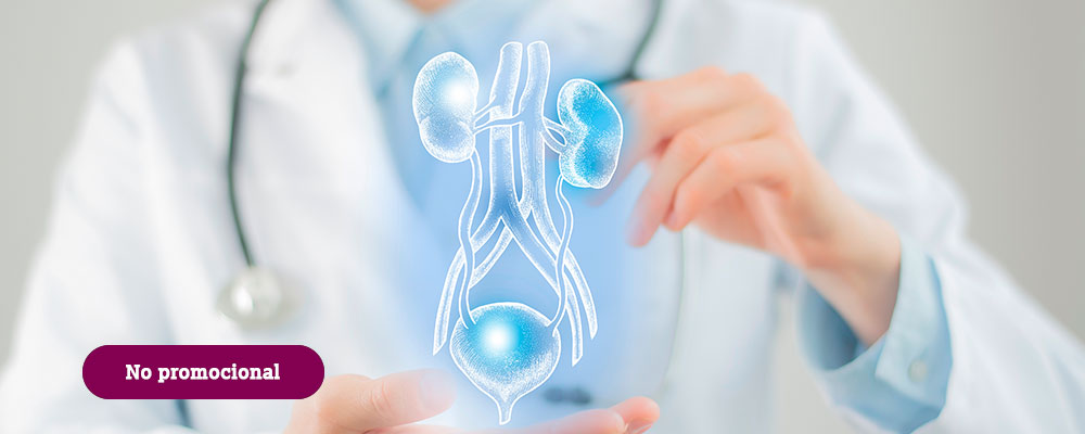Profesional médico con bata blanca que sostiene una ilustración digital azul brillante del sistema urinario humano (riñones y vejiga); simboliza el diagnóstico y la atención urológica avanzados.