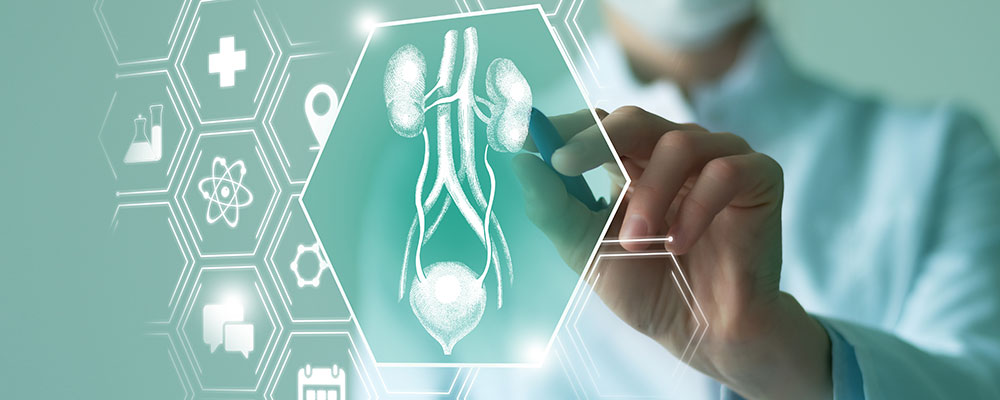 Imagen renal que representa los tumores genitourinarios