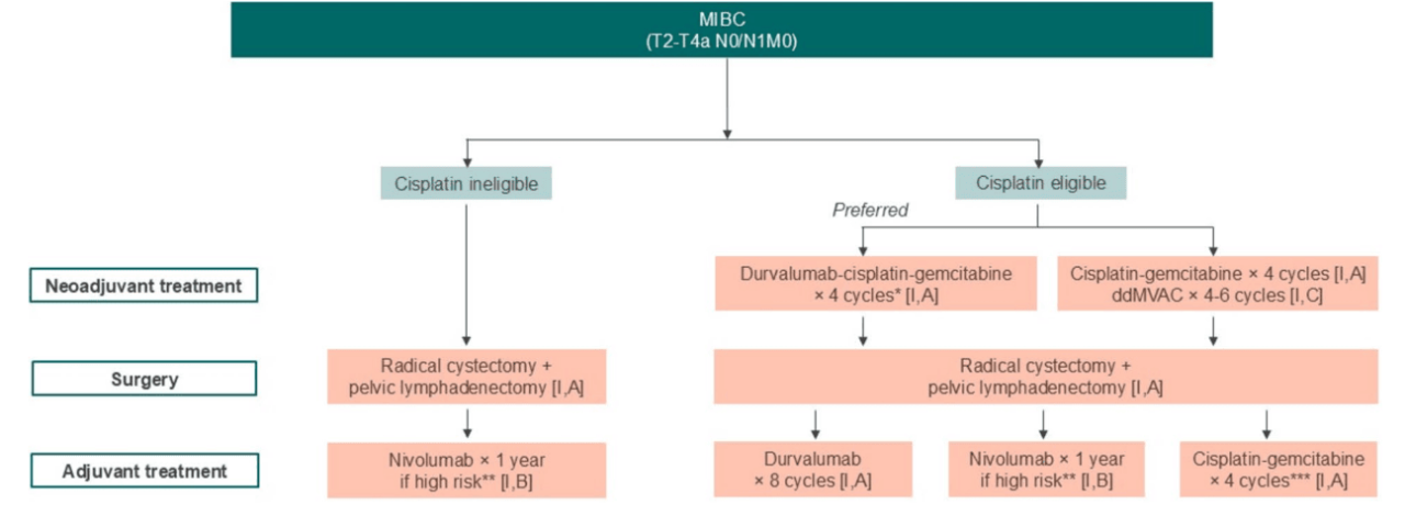 Diagrama de opciones de tratamiento para MIBC