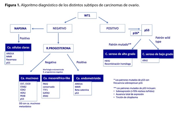 Algoritmo De Carcinomas Ováricos
