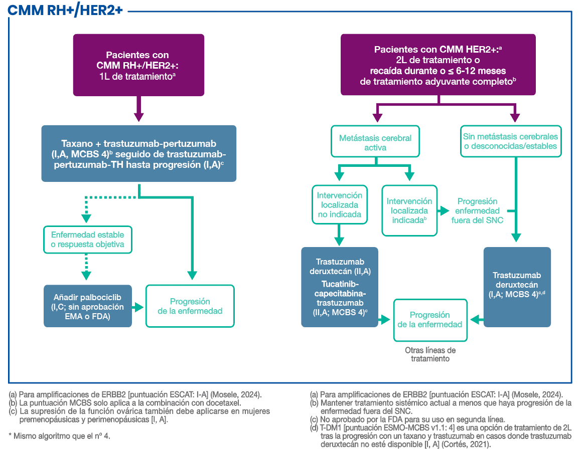 Algoritmo de tratamiento para cáncer de mama metastásico HR+/HER2+ que muestra la terapia de primera línea, progresión de la enfermedad, estado de metástasis cerebral y opciones de tratamiento posteriores