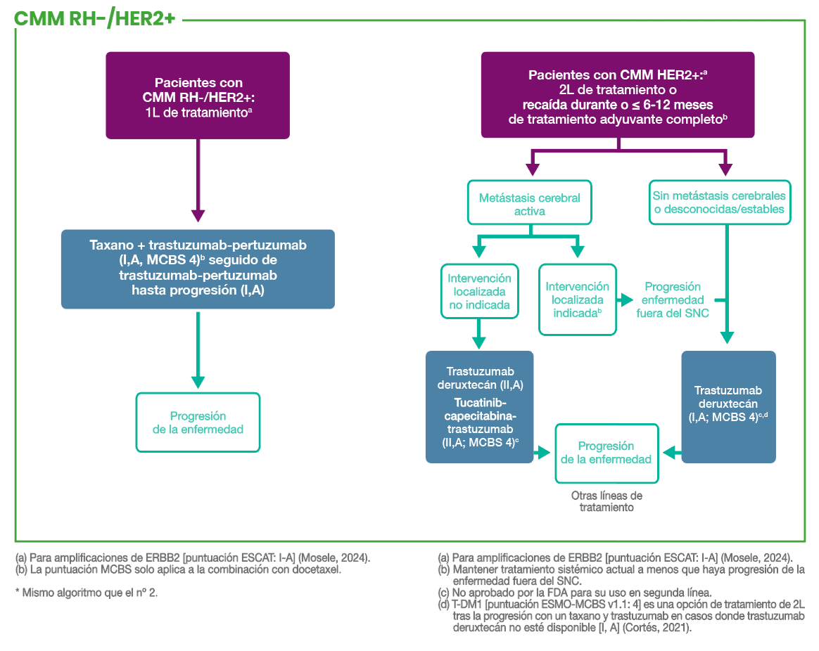 Algoritmo de tratamiento para cáncer de mama metastásico HR‑/HER2+ mostrando la terapia de primera línea, progresión de la enfermedad, estado de metástasis cerebral y opciones de tratamiento posteriores.