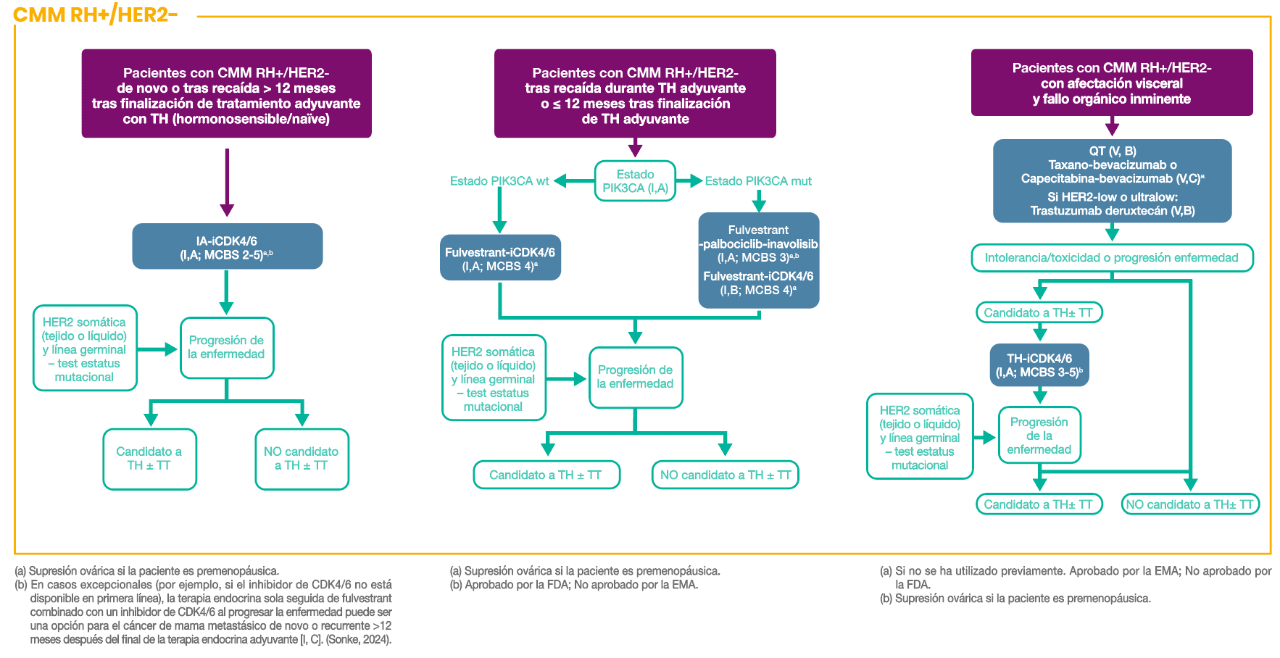 Algoritmo de tratamiento para el cáncer de mama metastásico HR+/HER2− que muestra la selección de terapia según el momento de la recaída, el estado de PIK3CA, la afectación visceral y la progresión de la enfermedad.